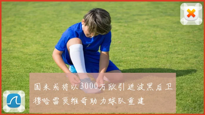 国米或将以3000万欧引进波黑后卫穆哈雷莫维奇助力球队重建