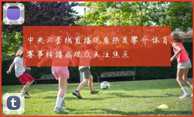 中央六套线直播观看热度攀升 体育赛事转播成观众关注焦点