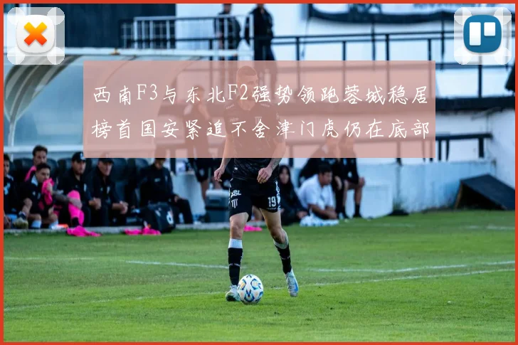西南F3与东北F2强势领跑蓉城稳居榜首国安紧追不舍津门虎仍在底部挣扎