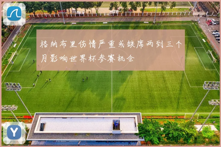 格纳布里伤情严重或缺席两到三个月影响世界杯参赛机会